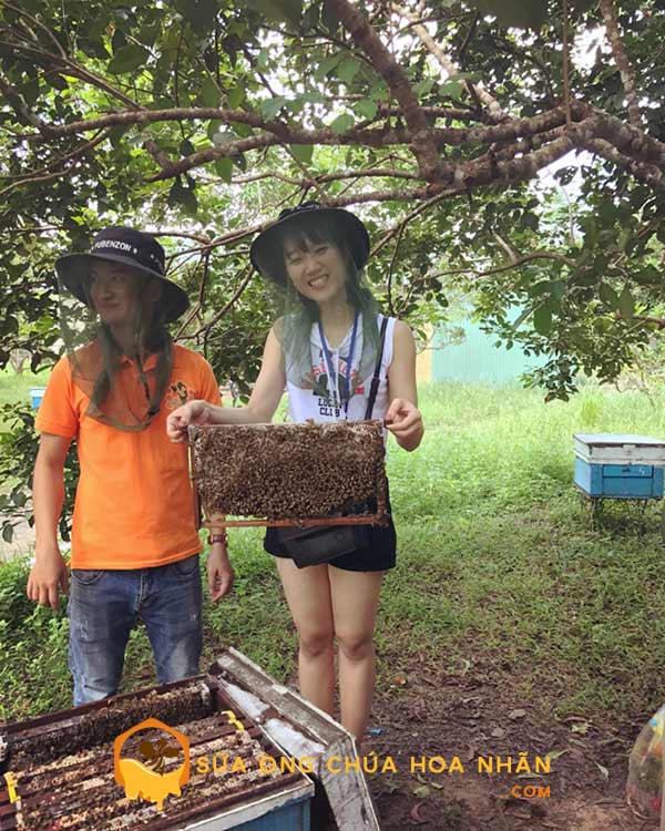 Giới thiệu Trang trại ong Hoa Nhãn - Sữa Ong Chúa Hoa Nhãn