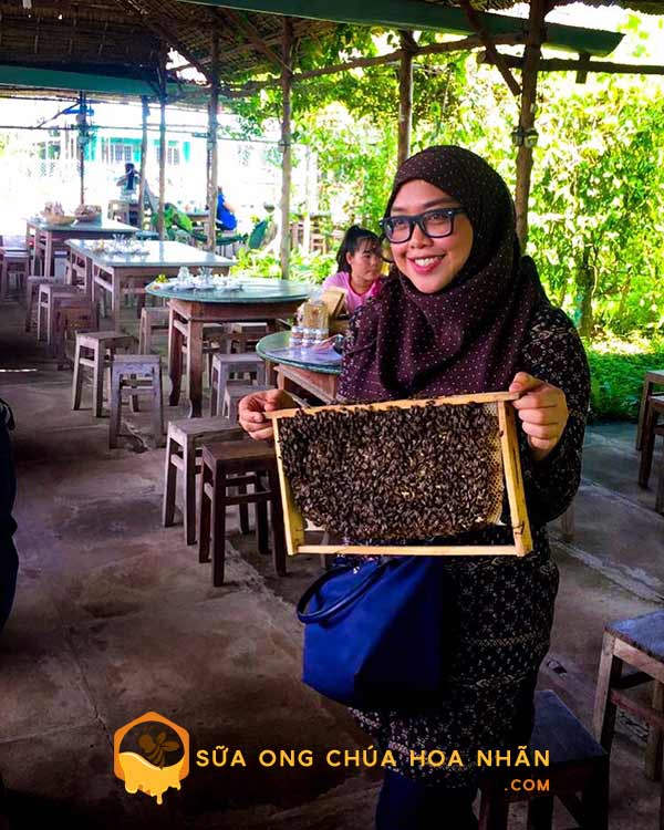 Giới thiệu Trang trại ong Hoa Nhãn - Sữa Ong Chúa Hoa Nhãn