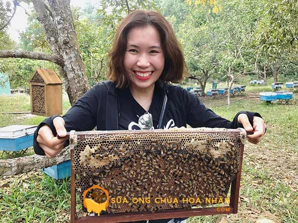 Giới thiệu Trang trại ong Hoa Nhãn - Sữa Ong Chúa Hoa Nhãn